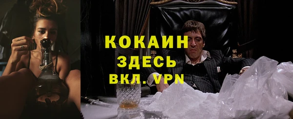 винт Алексин