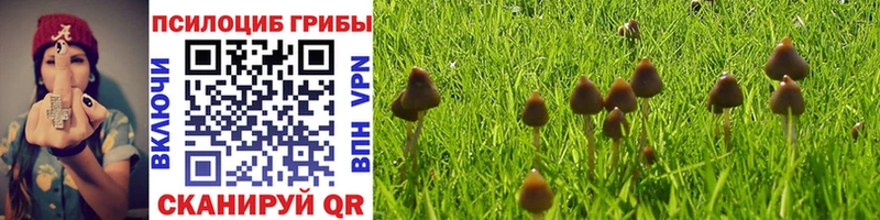 Псилоцибиновые грибы MAGIC MUSHROOMS  Духовщина 